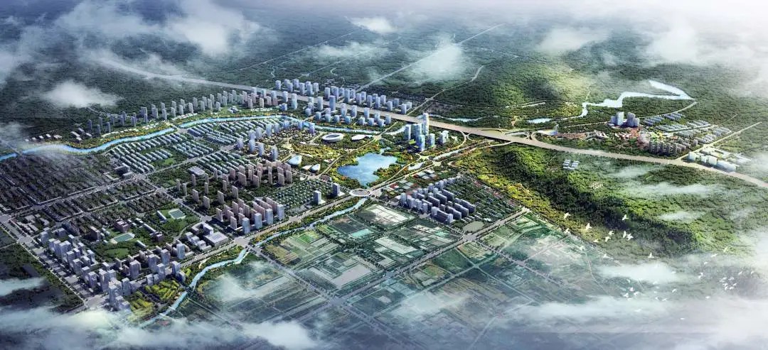 中醫藥產業新高地！西子電梯牢筑健康之基，聚力民生福祉